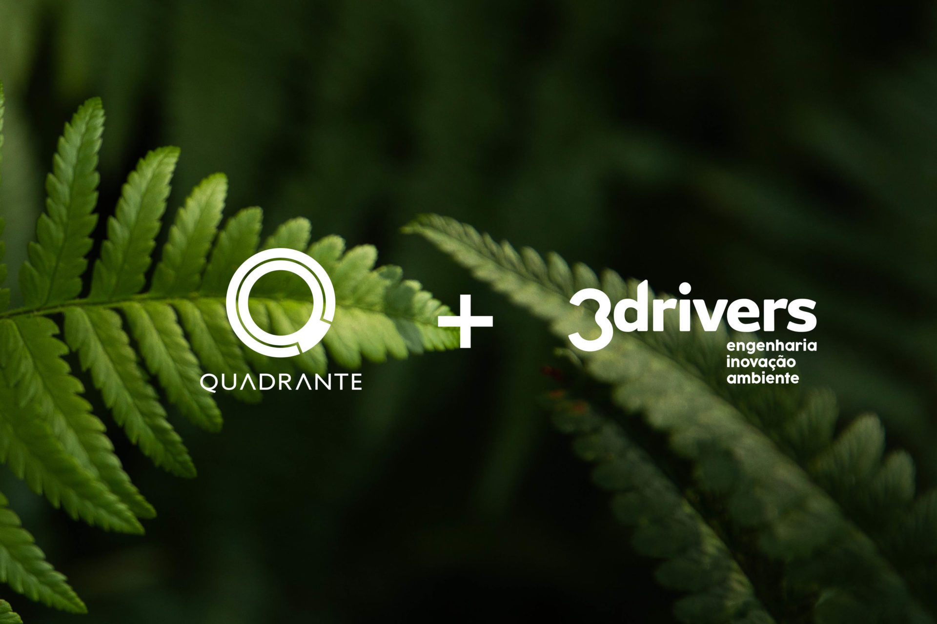 Quadrante adquire a maior consultora de sustentabilidade portuguesa