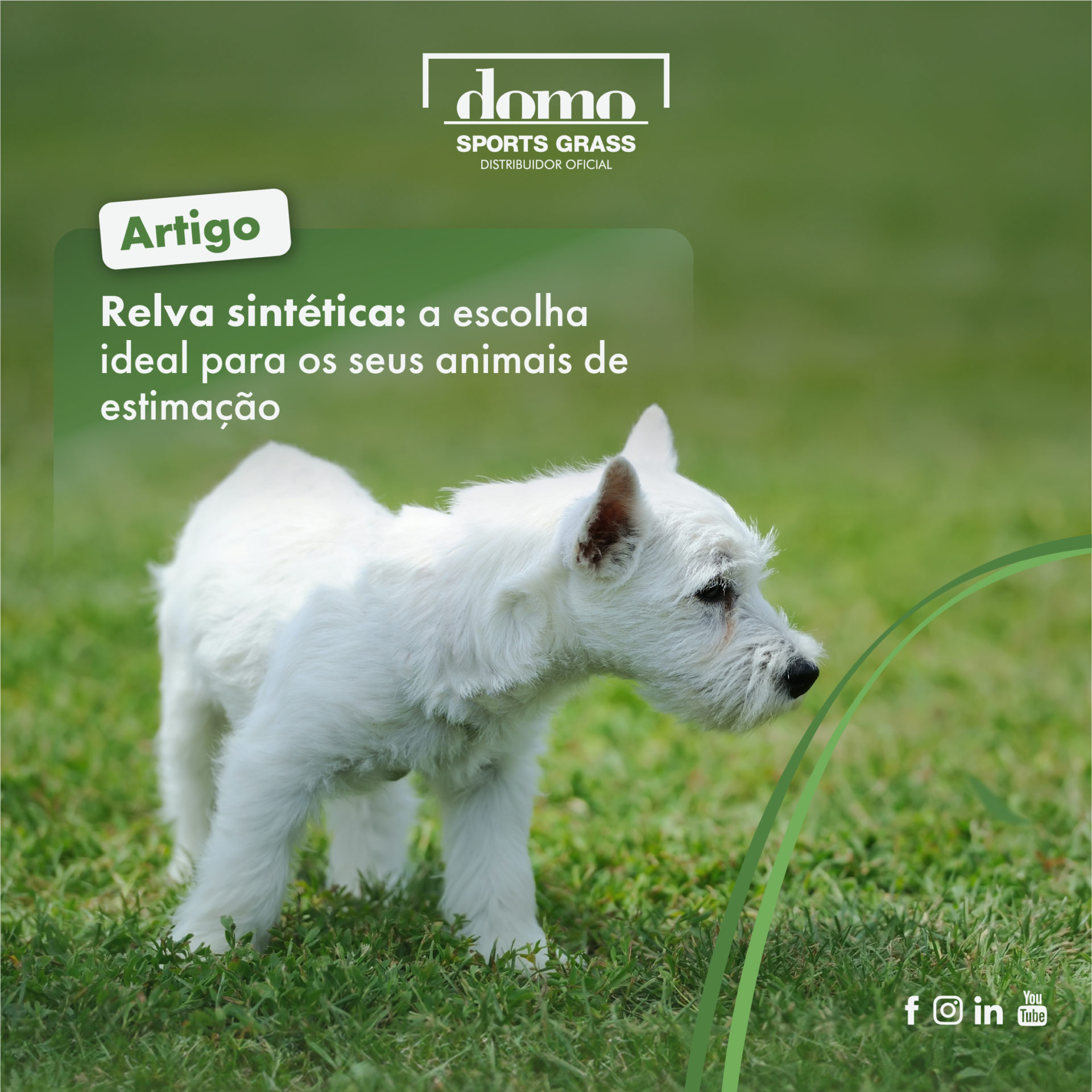 Relva sintética: a escolha ideal para os seus animais de estimação